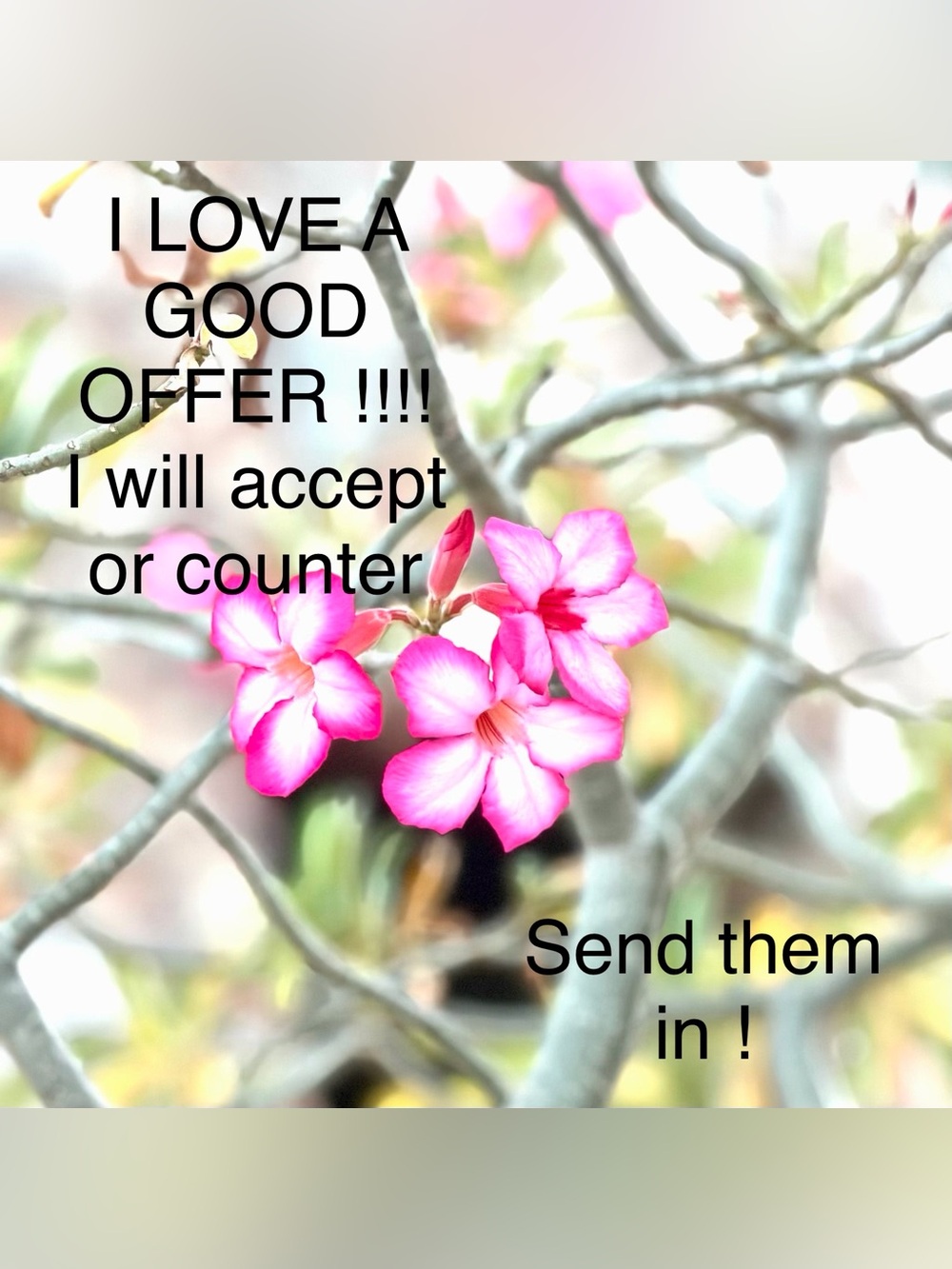 Make me an offer